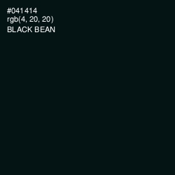 #041414 - Black Bean Color Image